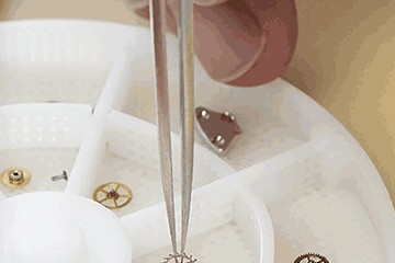 厦门劳力士手表官服务售后维修点地址